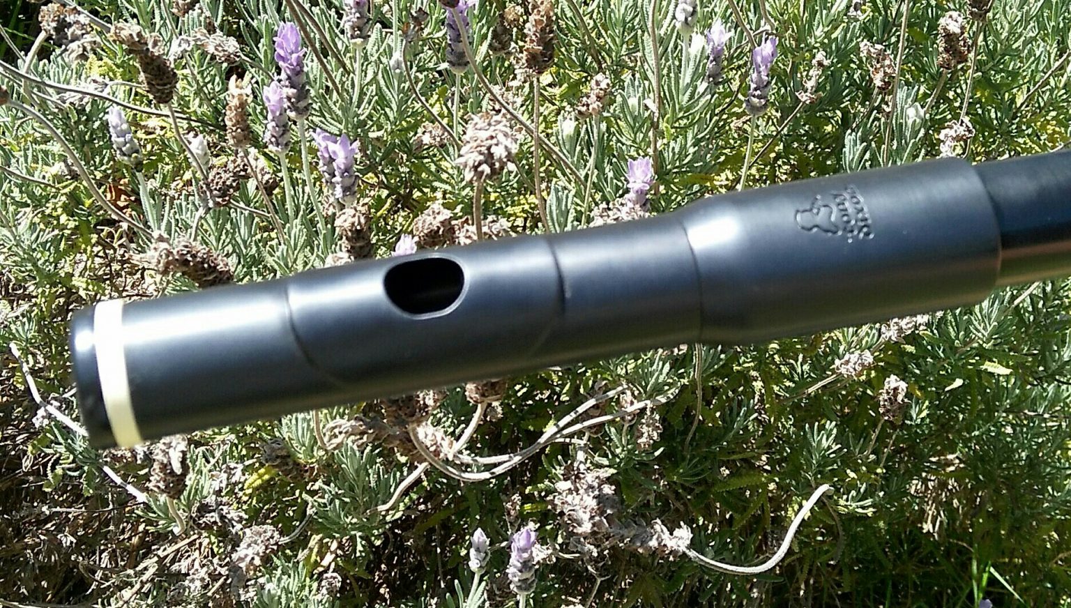 Wow Flute Of The Ancients